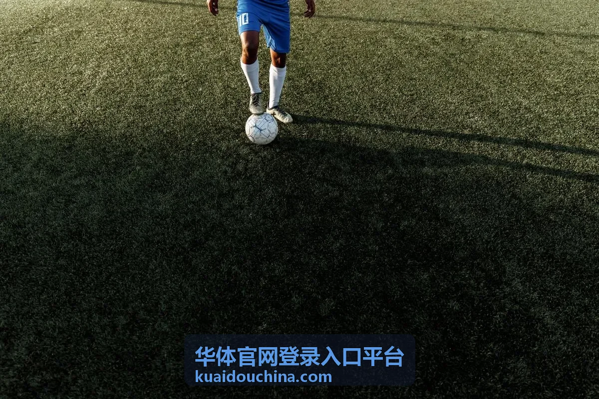 华体官网登录入口平台数据服务查询