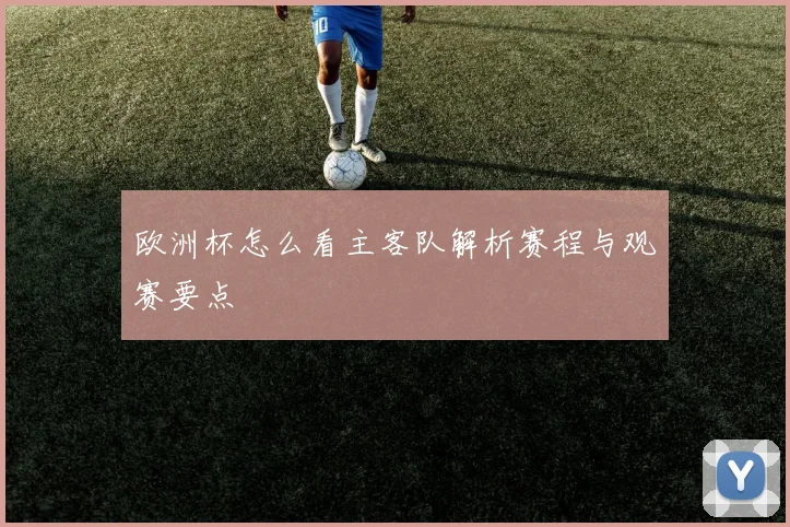 欧洲杯怎么看主客队解析赛程与观赛要点