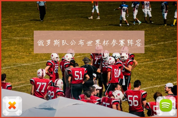 俄罗斯队公布世界杯参赛阵容